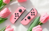 Nintendo  -  Joy-Con   Switch
