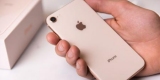 : Apple   2 iPhone (  9) 31 ,    3 
