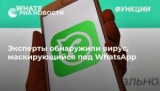   ,   WhatsApp