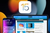 Apple    - iOS 15.4  iPadOS 15.4