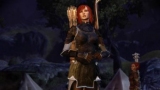     Dragon Age Origins:  , 