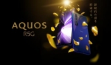 Sharp Aquos R5G:    ,  120 ,  Snapdragon 865  quad-cam